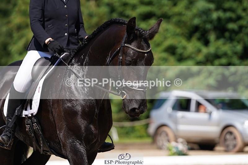240719-145834-02460 - 274-Paige_Beattie-Orcaber_Dark_Secret