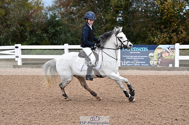 231029A-103502-02333 - 70cm Pony Intro