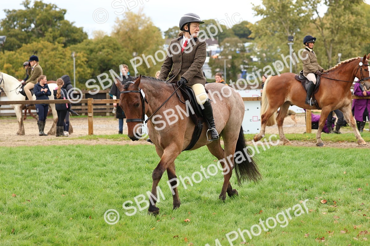 SBM_45116 - S27 - Young Veteran Ridden