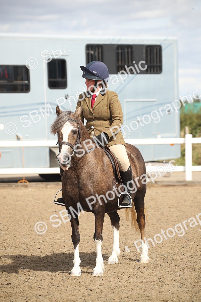 SBM_15180 - Class 505b - M&M Working Veteran - 50cm (20+)