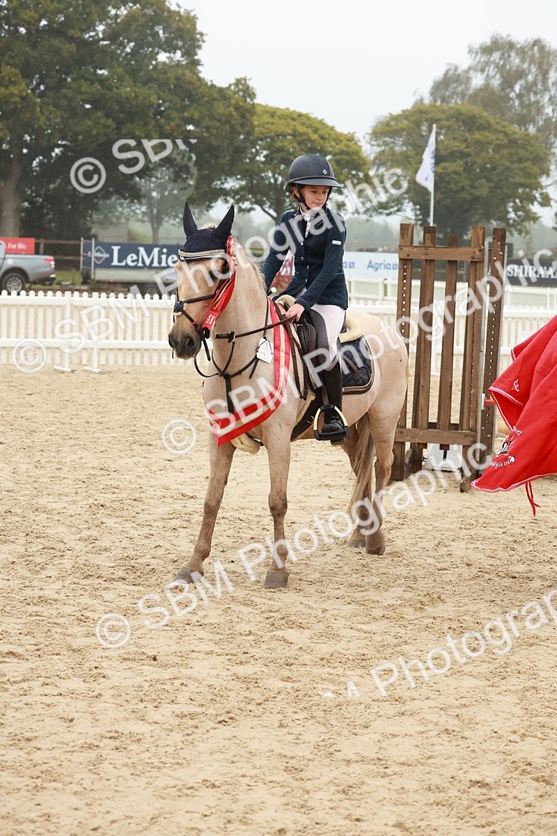 SBM_73511 - Supreme Championship Junior Pony 60cm & 65cm