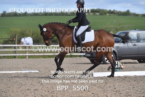 BPP_5500 - 31 R SHERRY