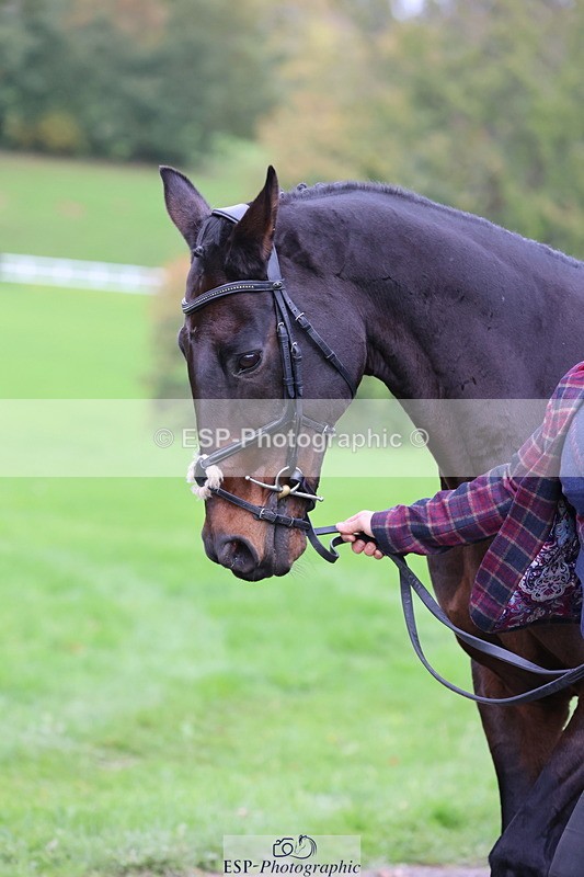 251026A-104647-23265 - F-452-Suzy.Stoneman