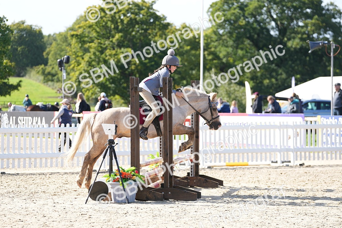 SBM_38306 - J6 - Junior Pony 55cm Championship