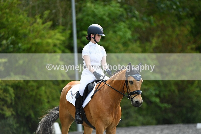 WJ5_1011 - Time 13:45 to 14:20