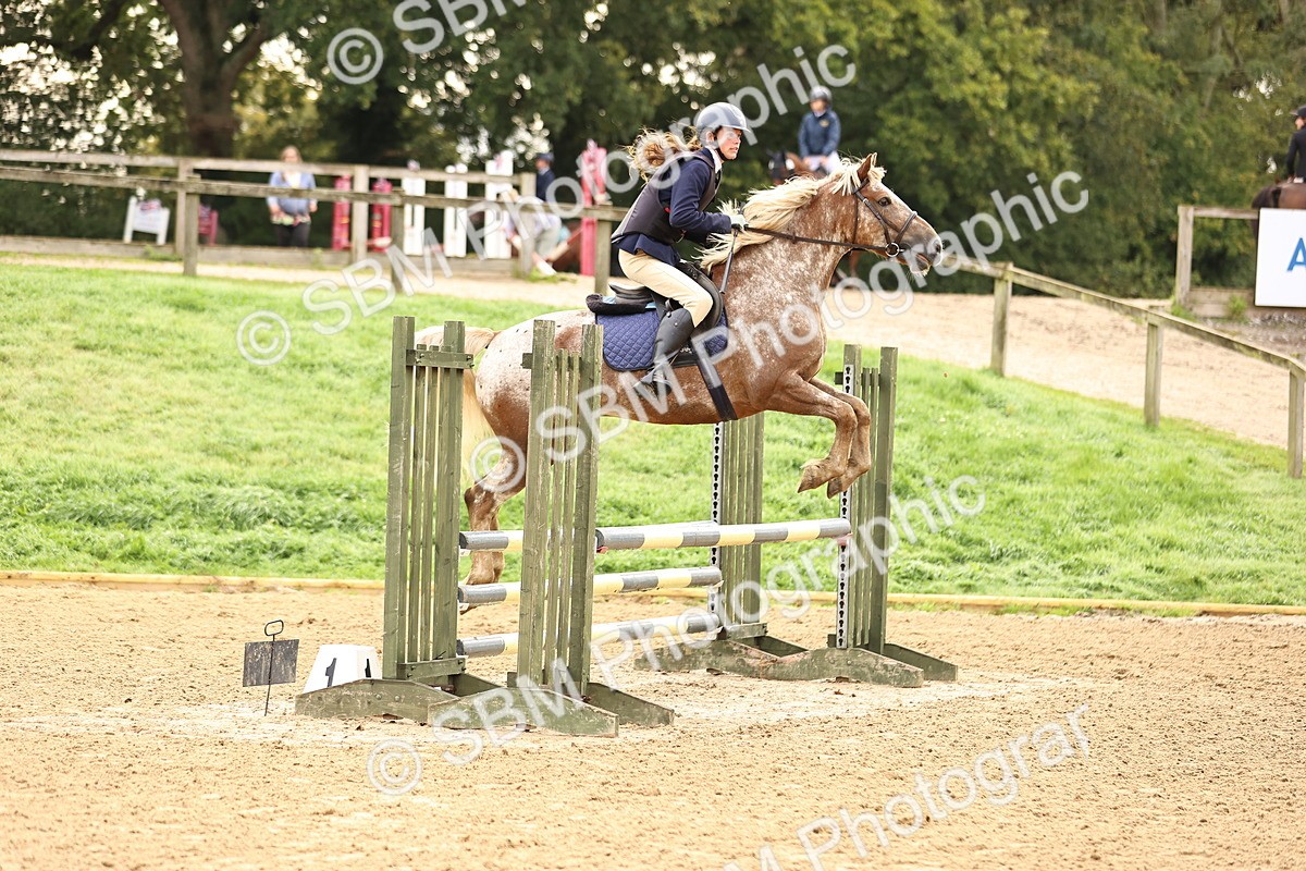 SBM_58406 - J41 - Grand Tour Horse & Pony 95cm