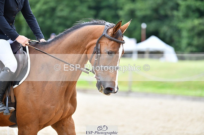240712-102042-32724 - Cls 137 British Novice and 90cm Open