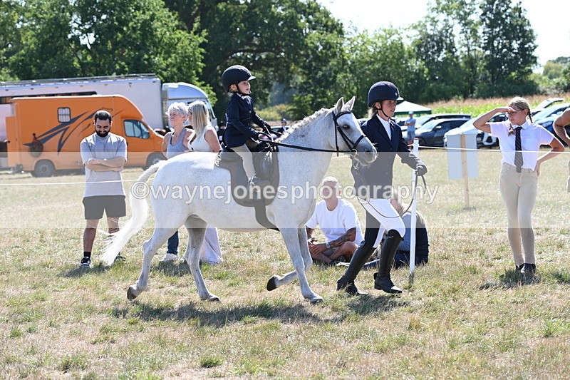 WJ6_7777 - Class 36 Lead Rein