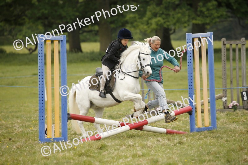 20250517-0283 - Class 1 - 30cm On Lead Rein