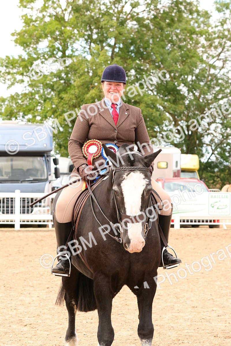 SBM_15590 - Class 214 - Ridden Show Cob