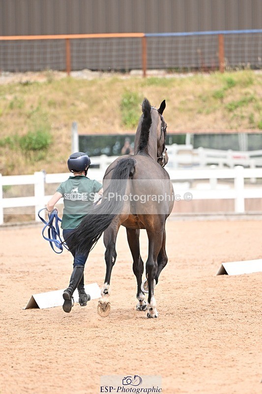 250716-143912-01259 - Trot Up 2.30 to 3.30