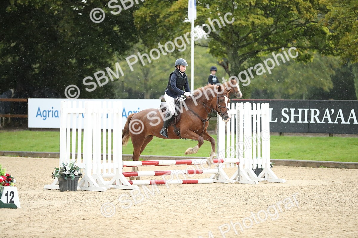 SBM_34496 - J60 Clear Round 50cm