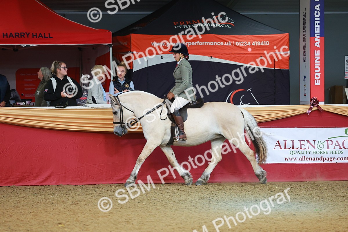 SBM_09521 - Class 102 - HOYS Veteran Qualifier - Ridden Veteran