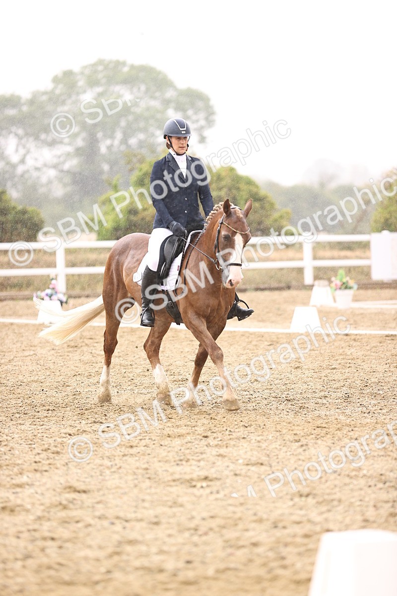 SBM_004633