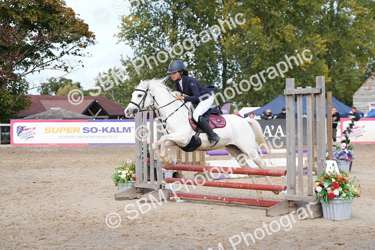 SBM_40809 - Supreme Championship Pony 50-55cm