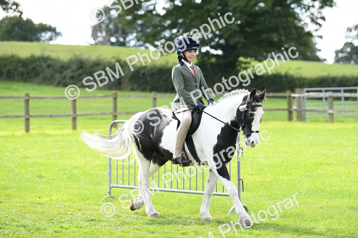 SBM_46685 - S12 - Family Horse & Pony