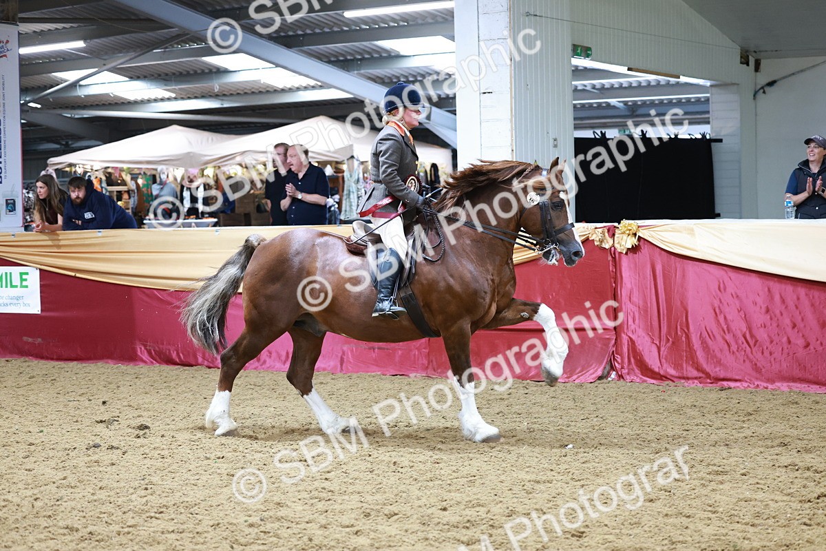 SBM_18921 - Class 952 - M&M Ridden Supreme Final