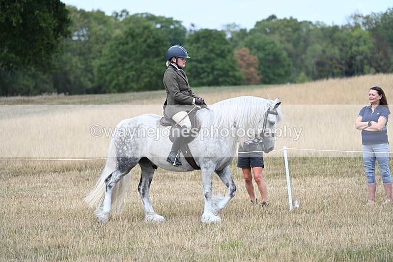 WJ7_5416 - Class 12 Ridden Cob