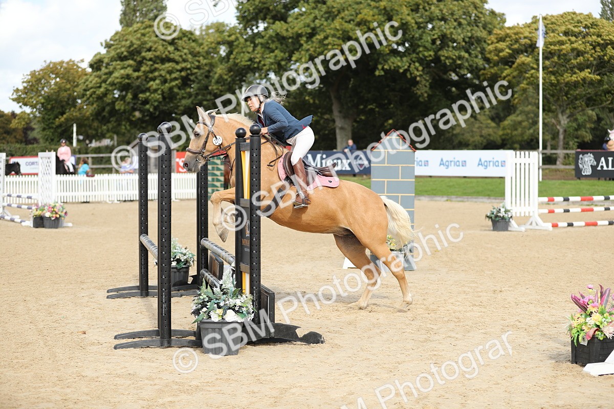 SBM_08449 - J30 - Senior Horse & Pony 70cm Championship