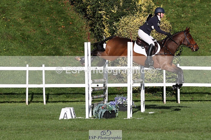 231022-095814-24231 - 668-BOWHAYLANDS.SKYFALL-Miya.Johns-TrotUp+SJ