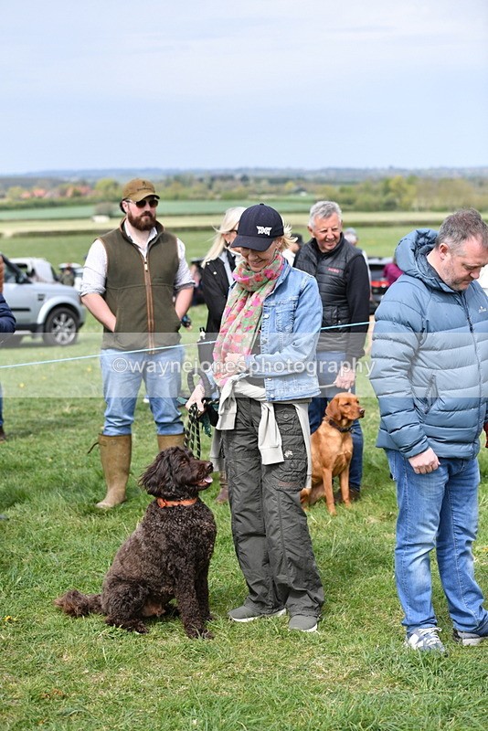 WJ5_9726 - Class 3 Most Handsome Dog