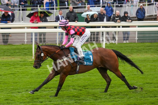 140723-Race 4-Andaleep-8588 - Race 4 3.50pm Azets Handicap