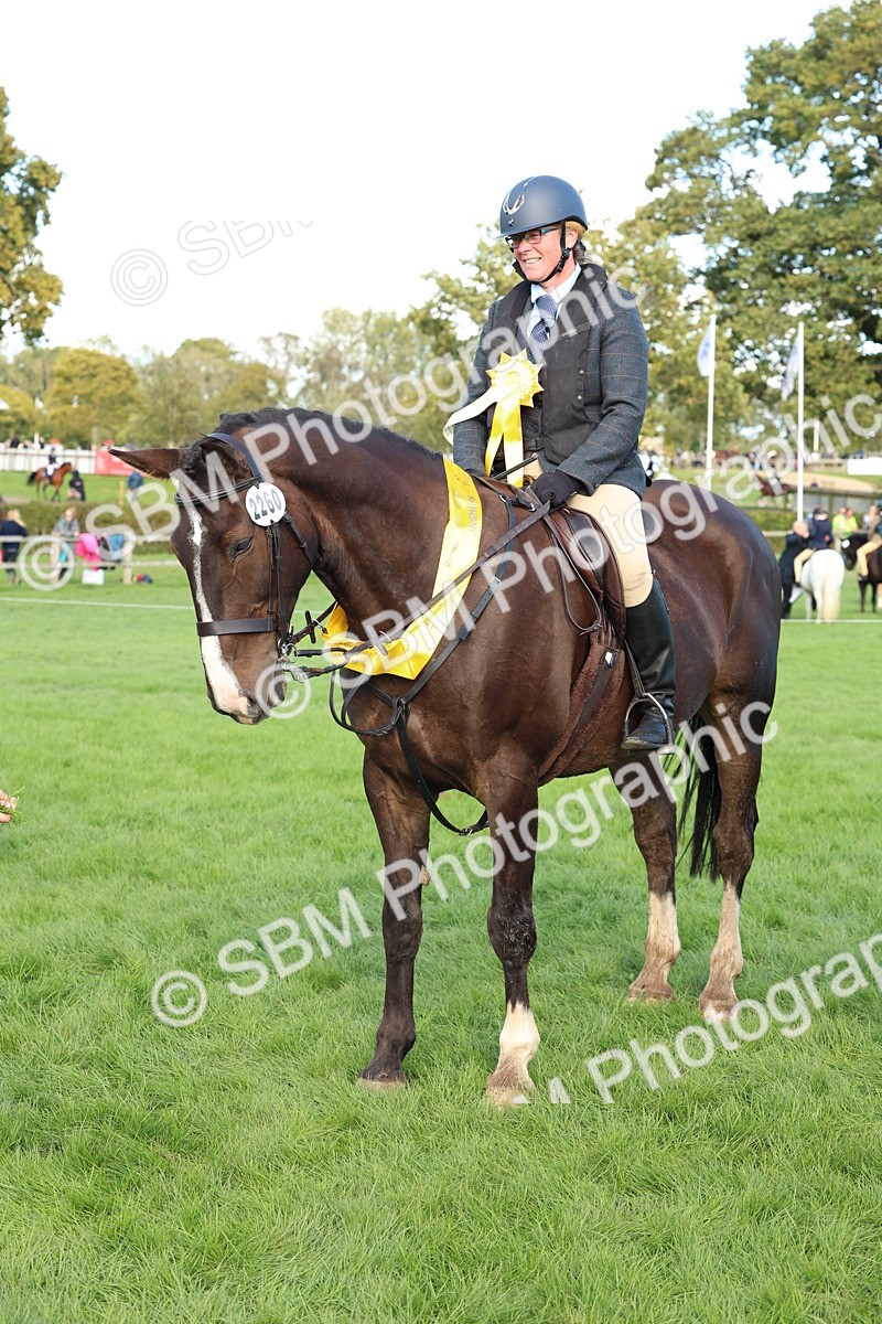 SBM_50188 - S34 - Novice & Newcomers Working Hunter