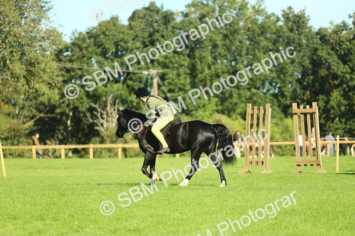 SBM_37407 - S29 - Novice & Newcomers Working Hunter Pony