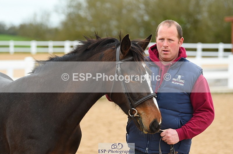 230416A-140434-04733 - Cls 46+43 In Hand Warmbloods and Foreign