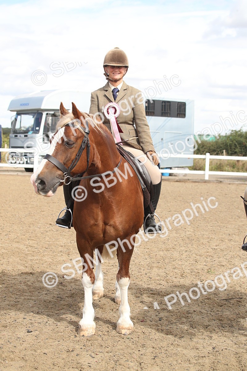 SBM_14600 - Class 505a - M&M Working Veteran - 50cm (15-19)