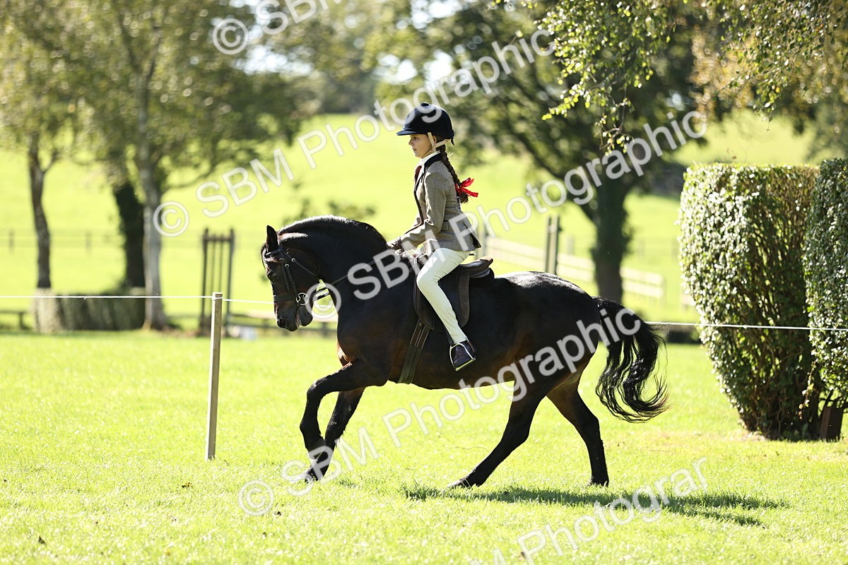 SBM_19335 - S3 - TSR Ridden Pony Showing