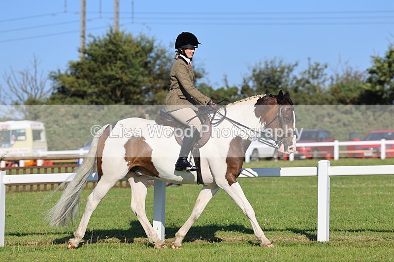 IMG_1196 - Class 27: Ridden Plaited Coloured Horse