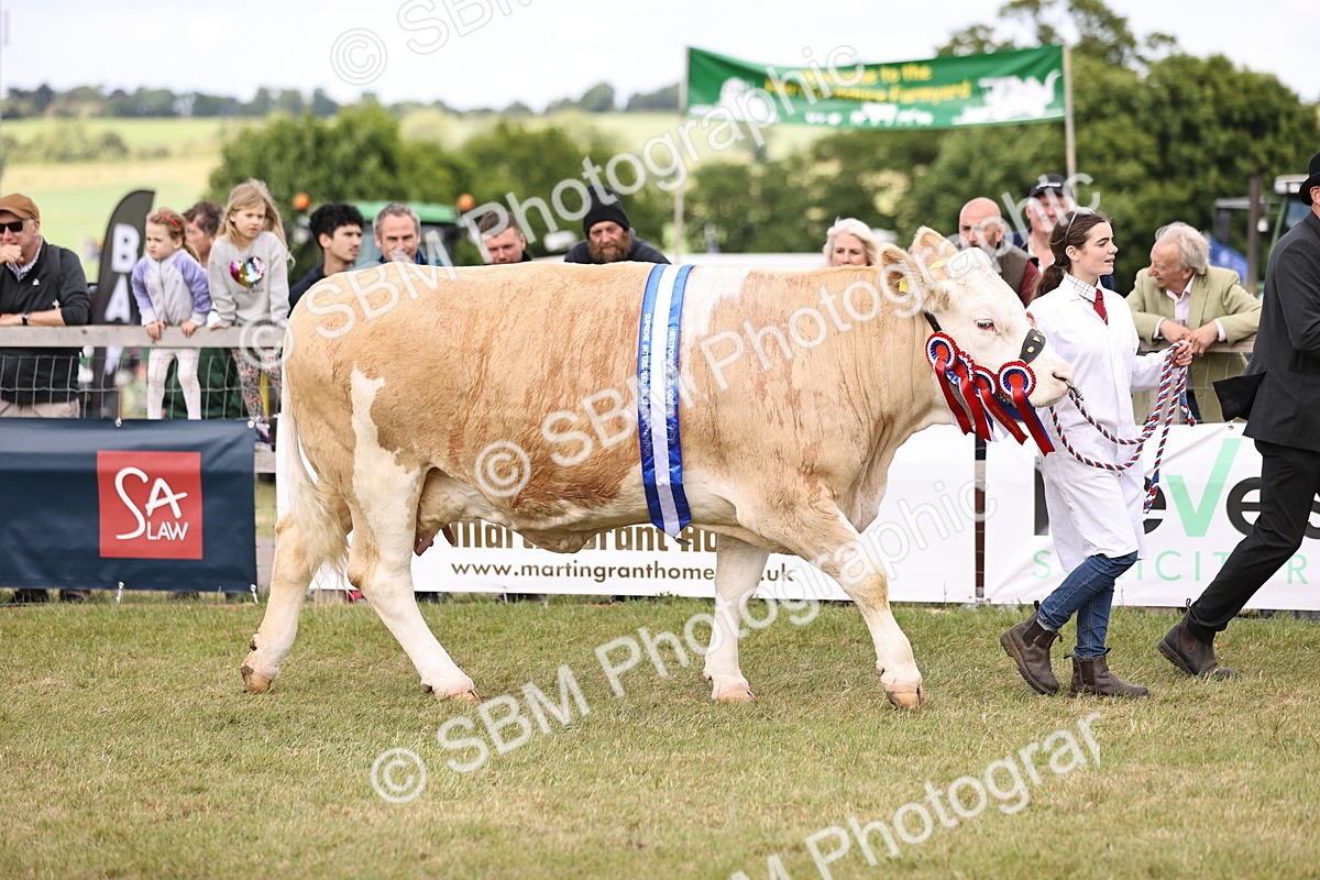 SBM_16878 - Grand Parade