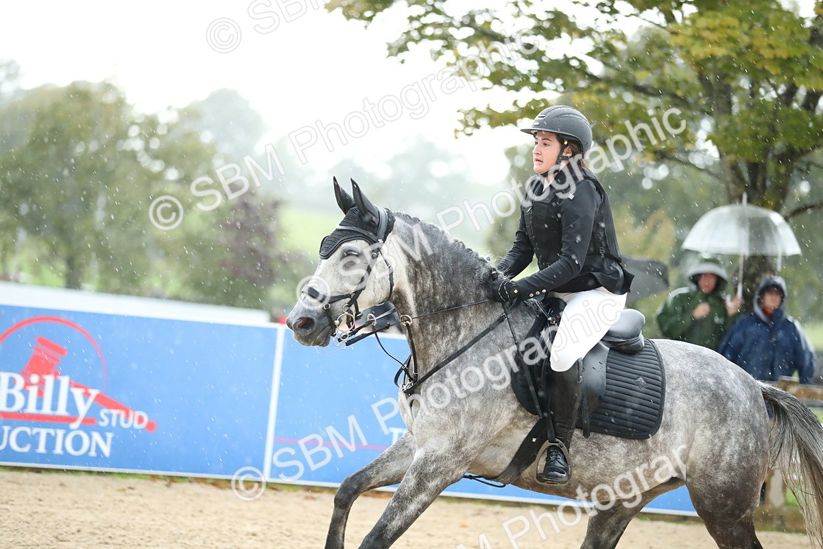 SBM_37139 - J20 - Junior Horse 50cm Championship