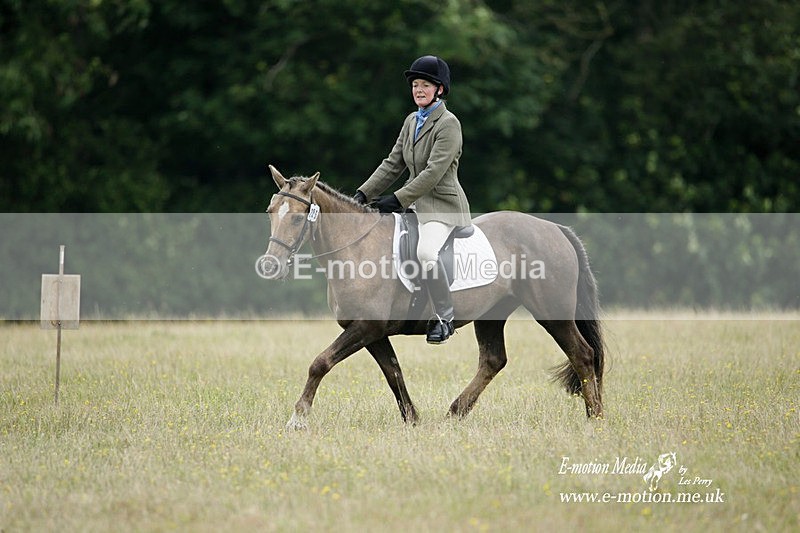 BVRC 030721 344 - Bourne Valley Riding Club Dressage 03/07/21