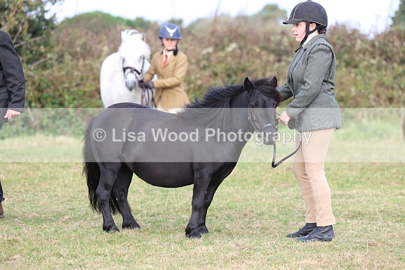 3E7A3282 - Class 12: M & M Small Breeds