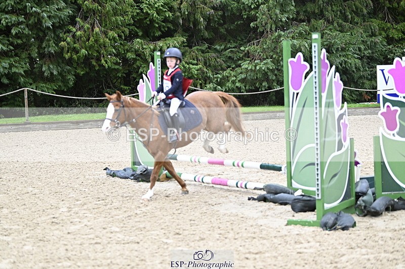 251005A-083339-02815 - Cls 01 GR 40cm