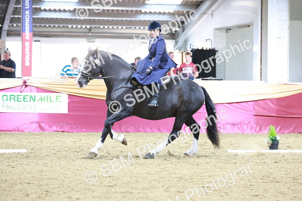SBM_09931 - Class 61 - Dressage to Music