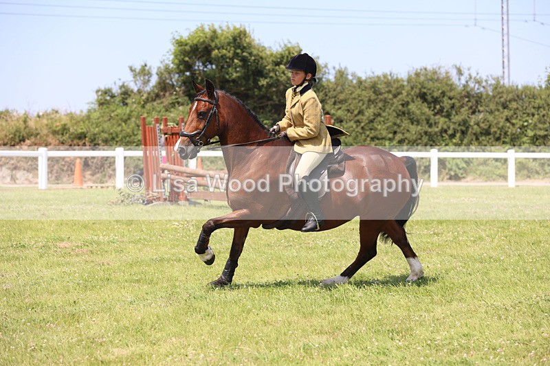 JPP_2988 - Class 22: Working Hunter 70cm