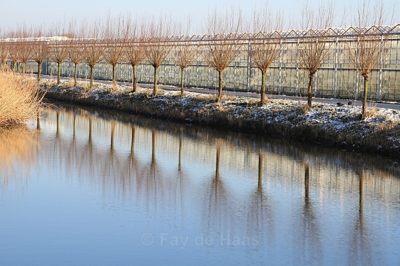  - Home in the Polder