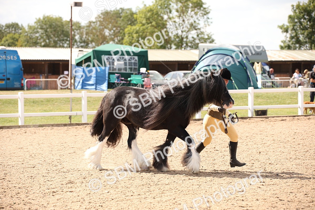 SBM_04535 - Class 20 IH Veteran