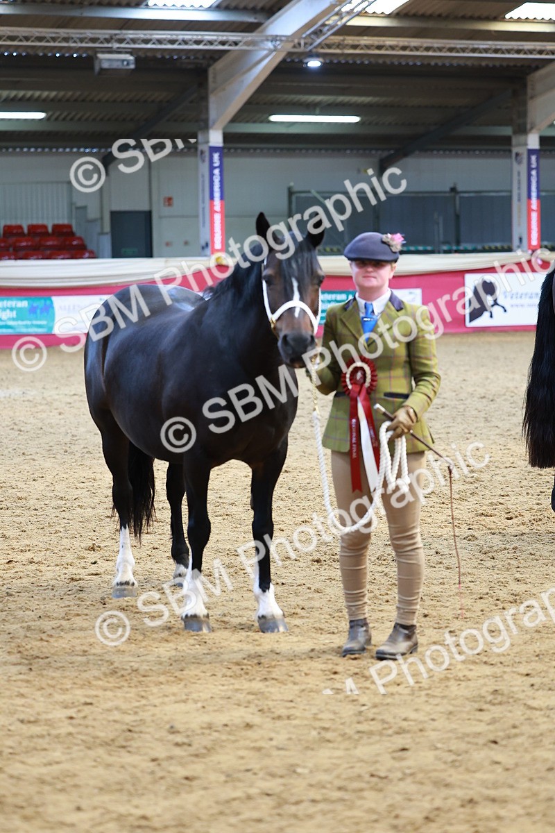 SBM_04341 - Class 9R - IH Pre-Vet