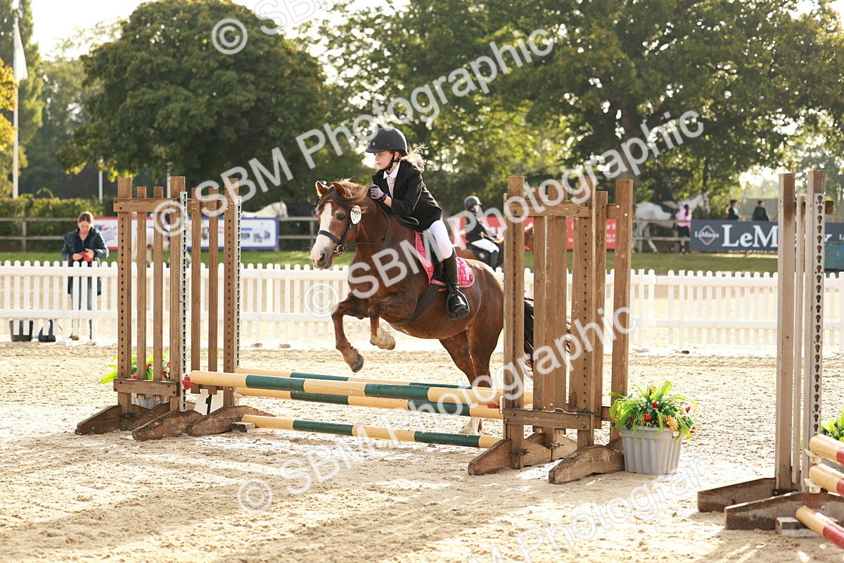 SBM_55601 - J11 - Junior Pony 50cm Championship