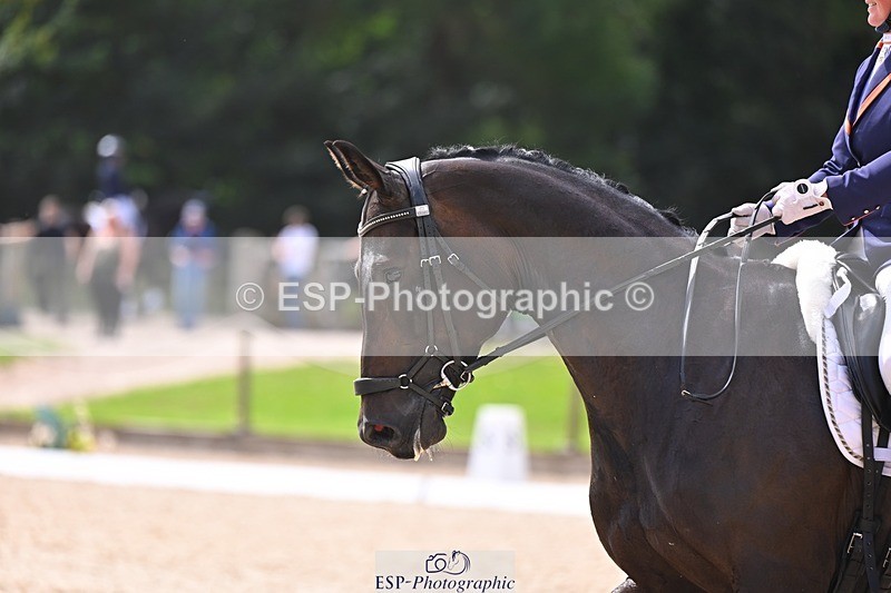 240809-132715-01517 - 142-Tyler.Bradshaw-J'adore