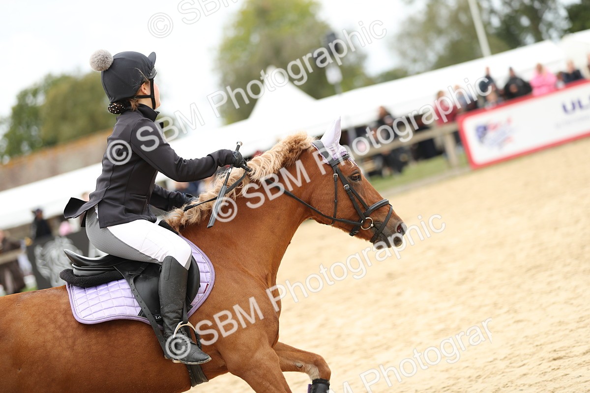 SBM_65569 - J48 - Pairs Jumping Open 70cm & 85cm