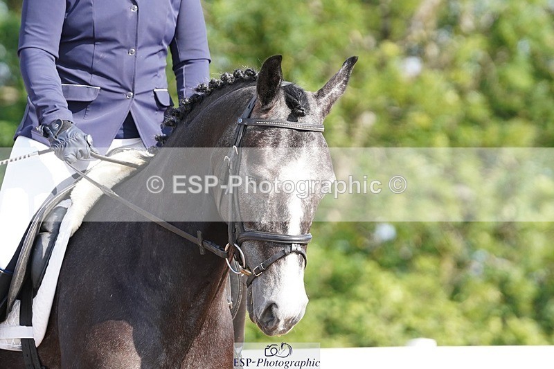 250622-083022-12976 - Cls 46 FreeStyle Prelim Inc Presentations