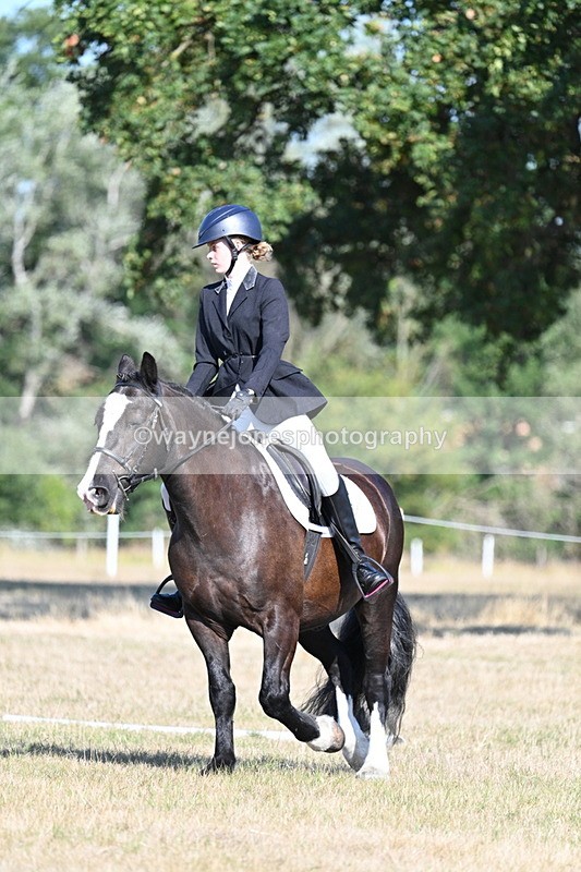 WJ7_9117 - Time 09:27 to 10:03