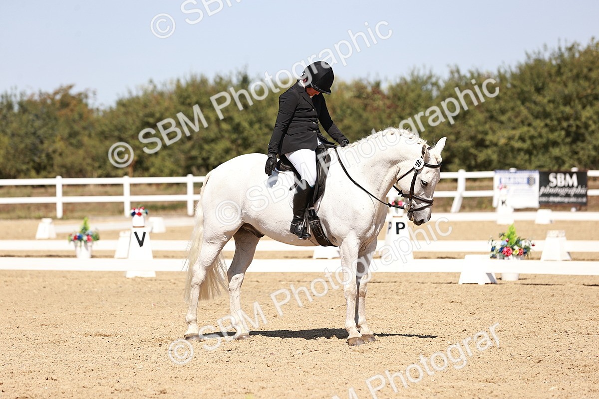 SBM_004969 - Class 12 - Novice 5 - 12.02-12.44