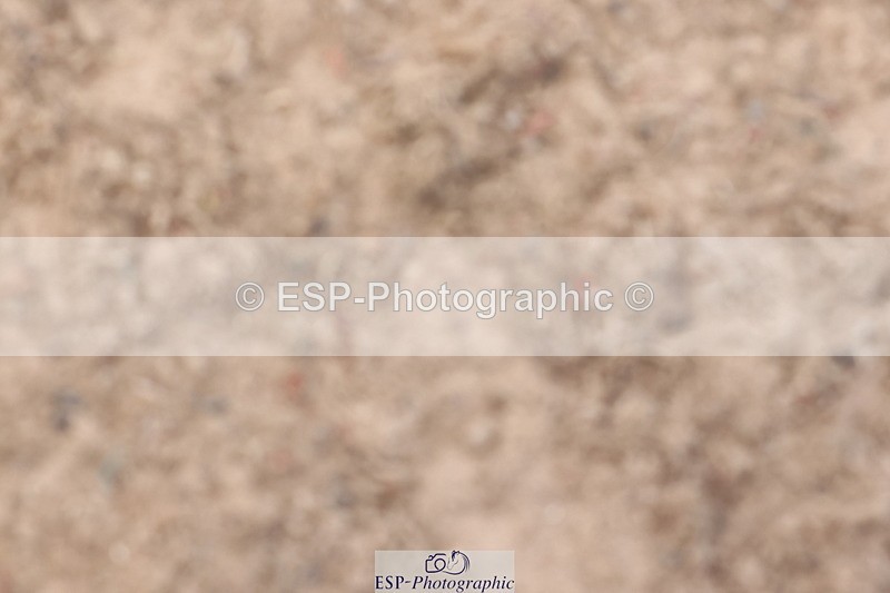 240714A-142511-02375 - Cls 14-15-16  CR & 60cm