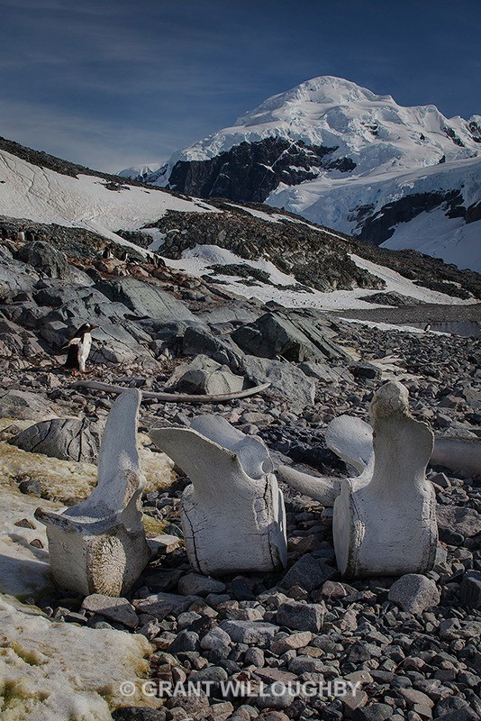  - Antartica